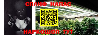 ешки Новозыбков