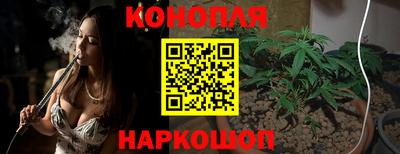ешки Новозыбков