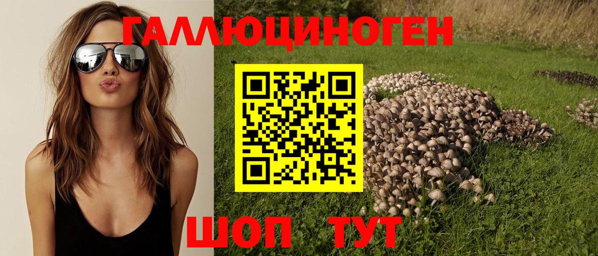 где найти наркотики  Вход с VPN  Псилоцибиновые грибы GOLDEN TEACHER  Семёнов  Галлюциногенные грибы Magic Shrooms 